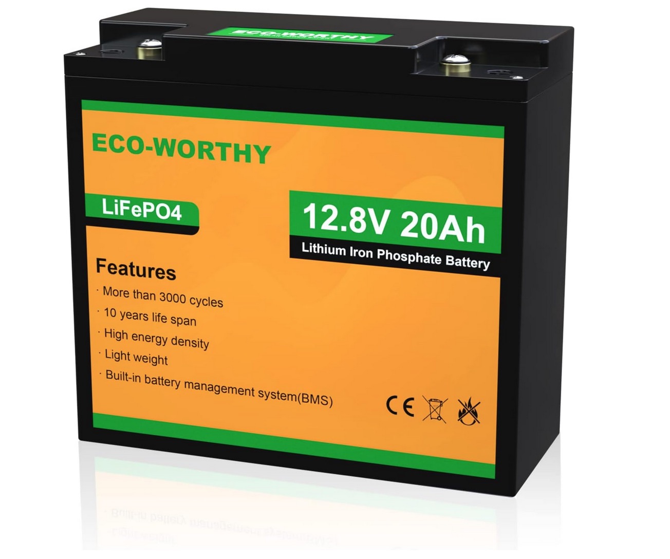 eco worthy 20ah battery